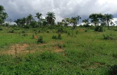 Imagem 7: Fazenda Capão Preto - Tiros - MG