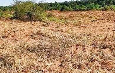 Imagem 6: Fazenda/Sítio/Chácara para venda tem metros quadrados em zona rural...
