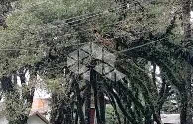 Imagem 12: terrebo de esquina com 1084m² Canela