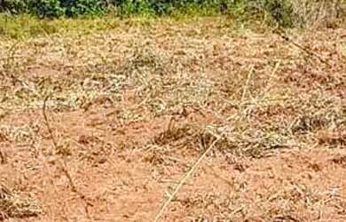 Imagem 14: Fazenda/Sítio/Chácara para venda tem metros quadrados em zona rural...