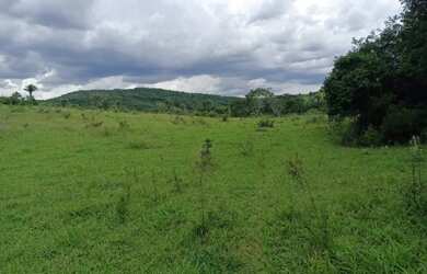 Imagem 13: Fazenda Capão Preto - Tiros - MG