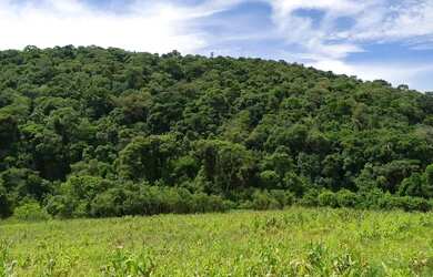 Imagem: Lote em Ibiúna em Região Valorizada - SP