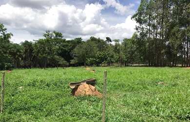 Imagem 2: Chácara 2 alqueires Município de Bela Vista Goias