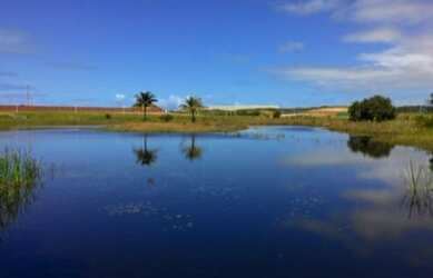 Imagem 3: Lote - Jardins Porto. 308m² de Área