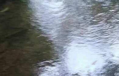 Imagem: A fazenda e está localizado em Candeias do Jamari, RO à venda