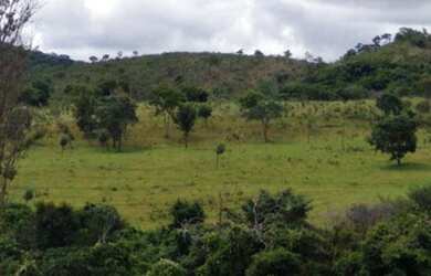 Imagem: A fazenda possui Churrasqueira e está localizado em Abadiânia