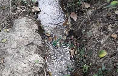 Imagem 2: Terreno à venda, 3474 m² por R$ 145.000,00 - Zona Rural - Taquaraçu...