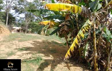 Imagem 10: Vendo Terreno no bairro Araçá em Paty do Alferes - RJ