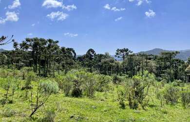 Imagem 3: Chácara em Urubici. 