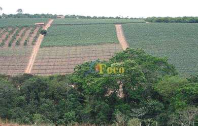 Imagem 2: Área à venda, 217800 m² por R$ 11.000.000,00 - Bairro Tapera Grande...