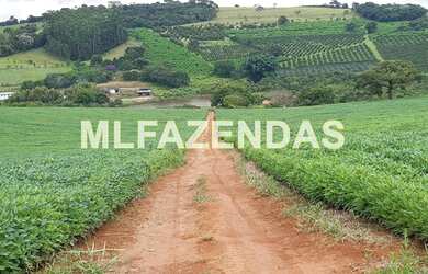 Imagem 1: Fazenda em Turvelândia MG 81,6 alqueires ou 197,47 ha, 80 aproveitável