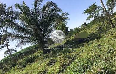 Imagem: Machadinho D x27 Oeste - Sítio - 22 alqueires