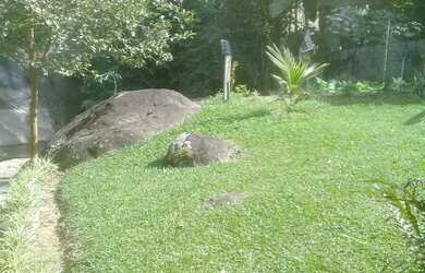 Imagem 6: Aluga para fins de semana