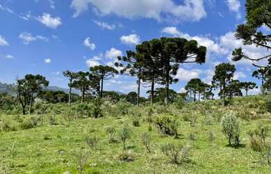 Imagem 5: Chácara em Urubici. 