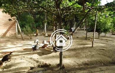 Imagem 9: Chácara com 2 dormitórios, 2000 m² - venda por R$ 290.000,00 ou aluguel...