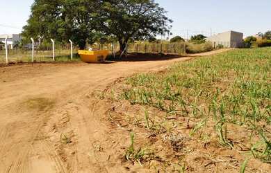 Imagem 1: Rancho em iacanga. 600m² de Área