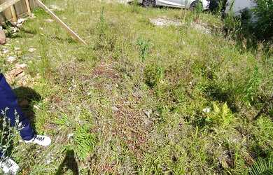 Imagem 6: Terreno / Lote com 300 m2 - Moinho Velho Ipiranga / Sacomã