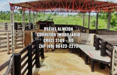 Imagem: 110 Alqueires Machadinho-RO