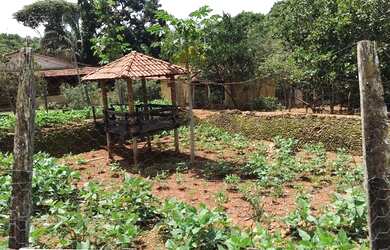 Imagem 9: Chácara 2 alqueires Município de Bela Vista Goias
