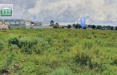 Imagem 12: Terreno à venda, 55461 m² por R$ 12.000.000,00 - Colônia Murici - São...