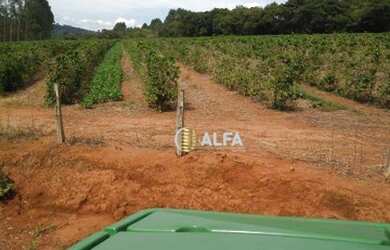 Imagem 9: Fazenda à venda, 39 alqueires por R$ 5.000.000 - Rural - Machado/MG
