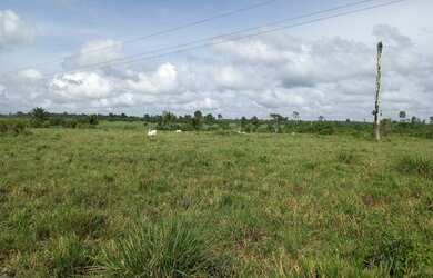Imagem: A fazenda possui 6.290.000m² de Área e está localizado em