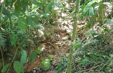 Imagem 9: Terreno - Atibaia. 1m² de Área