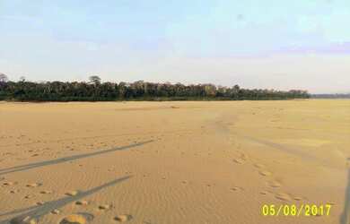 Imagem 4: Linda Ilha com 210 hectares Rio Madeira 63 km de porto velho