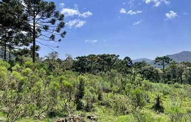 Imagem 4: Chácara em Urubici. 