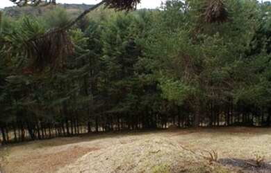 Imagem 3: Terreno à venda, 825 m² por R$ 380.000,00 - Jardim Embaixador - Campos do Jordão/SP