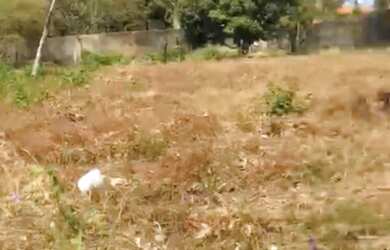 Imagem: O terreno possui 2.546m² de Área e está localizado em Olho