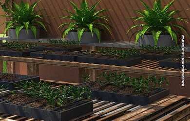 Imagem 5: Lote/Terreno -venda-1038m2-Jardim Portugal - São José dos Campos - SP