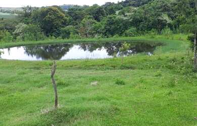 Imagem: A fazenda possui 266200m² de Área e está localizado em Céu