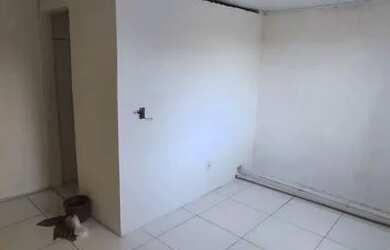 Imagem 5: Aluguel de casa. 1 Banheiroe2 Dormitórios