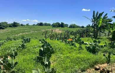 Imagem 14: fazenda - Centro - Montes Claros