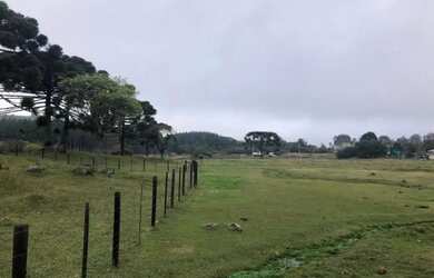 Imagem 8: Sitio - Bairro Serra Grande