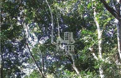 Imagem 12: Fazenda em Santa Maria Madalena 7.421 Hectares no Bioma Mata Atlântica...