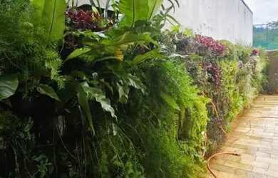 Imagem 15: CASA ITUPEVA RESIDENCIAL IBI-ARAM