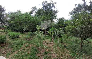 Imagem 5: Chácara no alagado em Boa Vista da Aparecida proximo a Usina de Salto Caxias