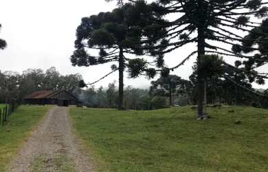 Imagem 6: Sitio - Bairro Serra Grande