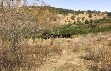 Imagem 2: Vendo Fazenda de 36 hectares com muita agua na Cidade de Moeda