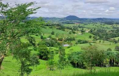 Imagem 6: Chácara à venda em Petrolina de Goiás 8 Alqueires