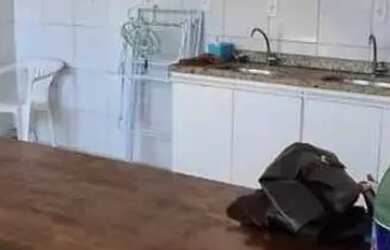 Imagem 5: Vende-se casa na Marambaia fc