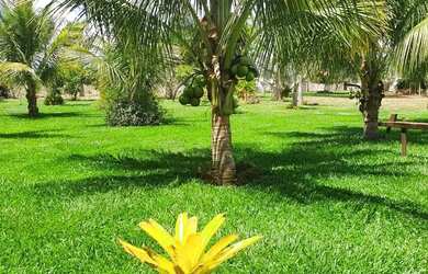 Imagem 5: OPORTUNIDADE ÚNICA BELÍSSIMA FAZENDA À VENDA EM BURITIS-MG