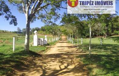 Imagem 10: Fazenda Espetacular em Jaguariúna / SP com 35 alqs FAZ 338