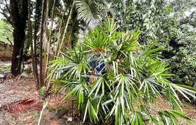 Imagem 4: Terreno à venda, 1000 m² por R$ 450.000,00 - Trevo - Belo Horizonte/MG