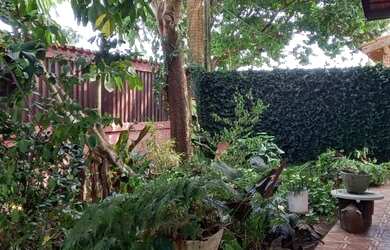 Imagem 16: Excelente casa com ponto comercial de frente para a Marginal em Itanhaém-SP