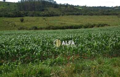 Imagem 7: Fazenda à venda, 39 alqueires por R$ 5.000.000 - Rural - Machado/MG