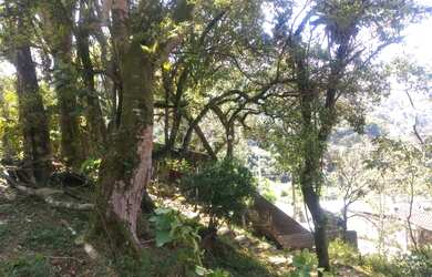 Imagem 6: Terreno para venda com 700 metros quadrados em Quitandinha - Petrópolis...