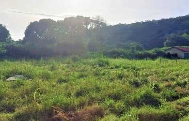 Imagem 3: Terreno para Venda em Rio de Janeiro, Ilha de Guaratiba
